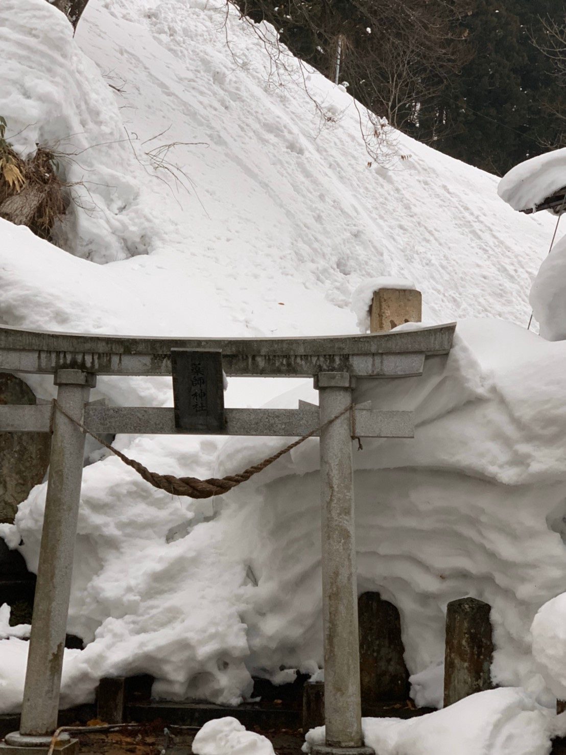 雪
