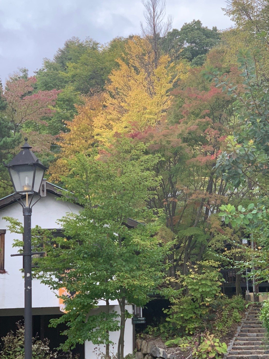 清里の秋　ハロウィンと共に